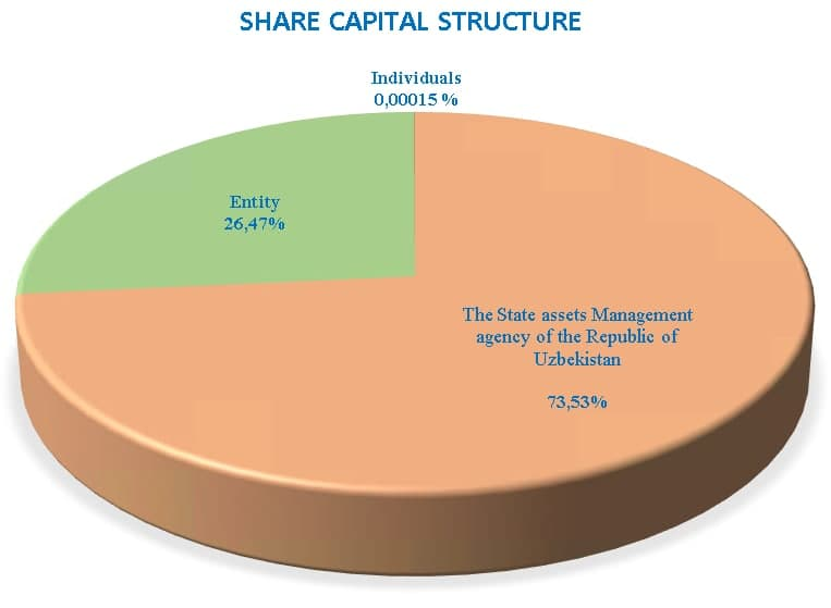 Share capital structure